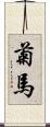 菊馬 Scroll
