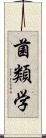 菌類学 Scroll