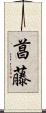 菖藤 Scroll