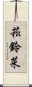 菘 Scroll