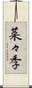 菜々季 Scroll