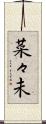 菜々未 Scroll