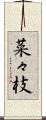 菜々枝 Scroll
