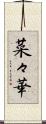 菜々華 Scroll