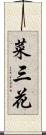 菜三花 Scroll