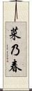 菜乃春 Scroll