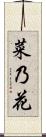 菜乃花 Scroll
