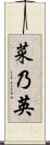 菜乃英 Scroll