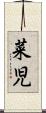 菜児 Scroll
