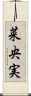 菜央実 Scroll