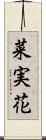 菜実花 Scroll