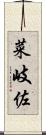菜岐佐 Scroll