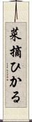 菜摘ひかる Scroll