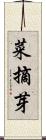 菜摘芽 Scroll