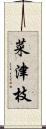 菜津枝 Scroll