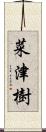 菜津樹 Scroll