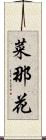 菜那花 Scroll