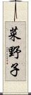 菜野子 Scroll