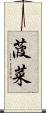 菠菜 Scroll