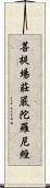 菩提場莊嚴陀羅尼經 Scroll