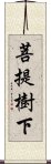 菩提樹下 Scroll