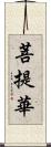 菩提華 Scroll