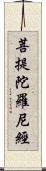 菩提陀羅尼經 Scroll