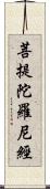 菩提陀羅尼經 Scroll