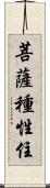 菩薩種性住 Scroll