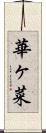 華ヶ菜 Scroll