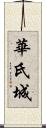 華氏城 Scroll