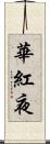 華紅夜 Scroll