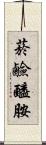 菸鹼醯胺 Scroll