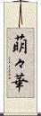 萌々華 Scroll