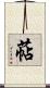 萜 Scroll