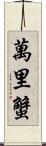 萬里蟹 Scroll