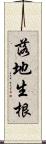 落地生根 Scroll