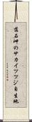 落石岬のサカイツツジ自生地 Scroll