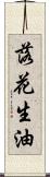 落花生油 Scroll