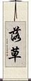 落草 Scroll