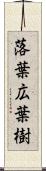 落葉広葉樹 Scroll