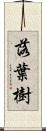 落葉樹 Scroll