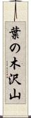 葉の木沢山 Scroll