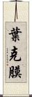 葉克膜 Scroll