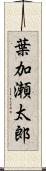 葉加瀬太郎 Scroll