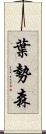 葉勢森 Scroll