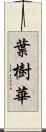 葉樹華 Scroll