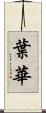 葉華 Scroll