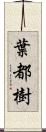 葉都樹 Scroll