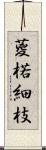 葼 Scroll